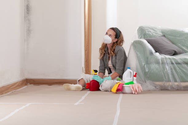 Reliable Mold Remediation contractor in Vandalia, MI by Cheap Mold Removal